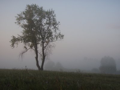 Foggy morn near Samara.JPG